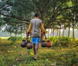 Date Plum Juice Collection / Photo : Rajarshi Ganguly